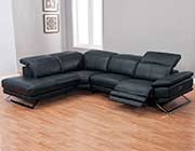 Modern Sectional Sofa AE 197