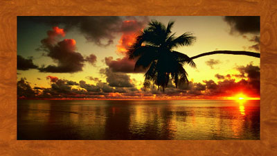 Wall Painting Cook Islands