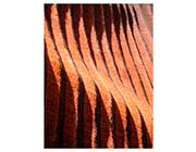 3D Rust Wool Rug FR 612