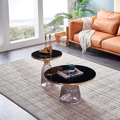 Glass Top Gray Coffee table AE 319