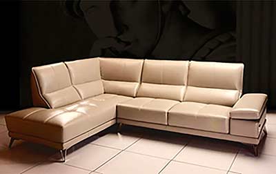 Modern Sectional Sofa in Beige AE 692