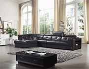 Modern Leather Sectional AA72