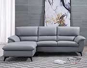 Modern Sectional Sofa in Gray AE 153