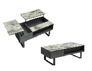 Gray Coffee Table with storage EF 88