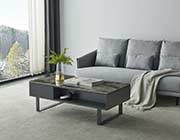 Gray Coffee Table with storage EF 88